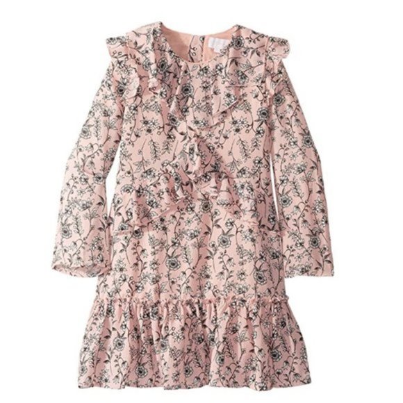 BCBGirls Other - BCBG Girls Girl's Printed Crepe Ruffle Dress